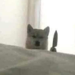 The_Giovvanni's Avatar'