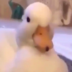 Jarred69xzc's Avatar'