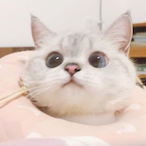 AKATTTTx's Avatar'