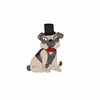 MisterT1337's Avatar'