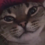 Difenz22's Avatar'