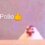 chickenjoeWRLD's Avatar'