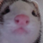 Kein_Tamerg's Avatar'