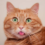 GRAES0NNNNN's Avatar'