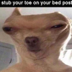 NickFrm309's Avatar'