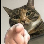 FNo1.Netdisk's Avatar'