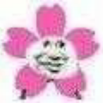 DontKill.Me_QAQ's Avatar'