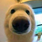 KennedyXina.'s Avatar'