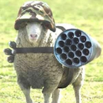 Sgt.Farlopa's Avatar'