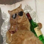 OGC.Negrausorus's Avatar'