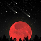 xSAD--__l's Avatar'