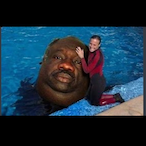 TopBigBoy356's Avatar'