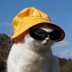 Dimiiitri's Avatar'
