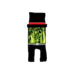 FancyCelery's Avatar'