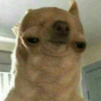 Real.Walter's Avatar'