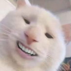 aAaAAaAaaaAd's Avatar'