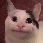 SenyorTartare's Avatar'