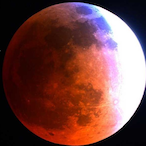 MyTeamsAss's Avatar'