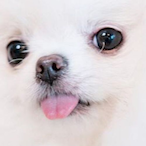 Stinky_lil_guy's Avatar'
