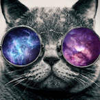 DomiSPIN's Avatar'