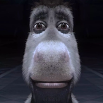 BurroSigma's Avatar'