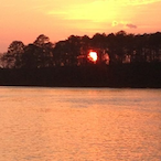 needingu rn's Avatar'