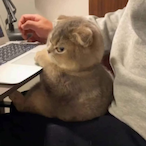 HAKUNAMATATA_'s Avatar'
