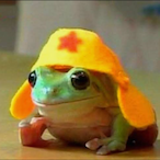 sapo-de-chapeu's Avatar'