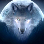NIGHTXWOLF21's Avatar'