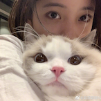 TAPP_GODDSS's Avatar'