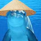 Dolphin182's Avatar'