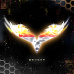 ducksidinho's Avatar'