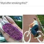 What_is.aim's Avatar'