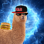 BoostedLlama's Avatar'