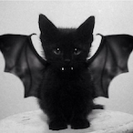 CatAsABat's Avatar'