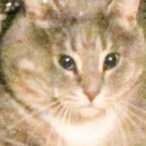 TIMOFEITV's Avatar'