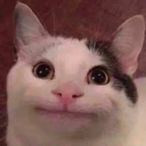 iamawatsonboy's Avatar'