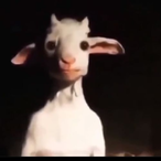 NetBanger310's Avatar'