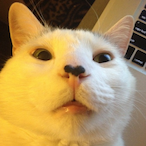 Hendersonzz's Avatar'