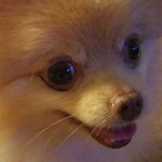 lnsurrgent's Avatar'