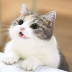 Im_ConJosH's Avatar'