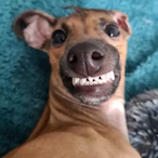 karczki's Avatar'