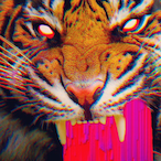 H1TIKKYTOKKY's Avatar'