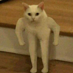 isy_X2StAIC's Avatar'