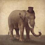 Irrelaphant's Avatar'