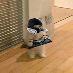 ADustyStory's Avatar'