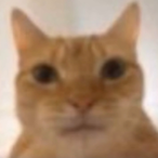 akuzyspoop's Avatar'