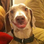 Raul_U_Bombon's Avatar'