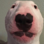 white.requis's Avatar'