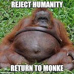 DinDjariin's Avatar'